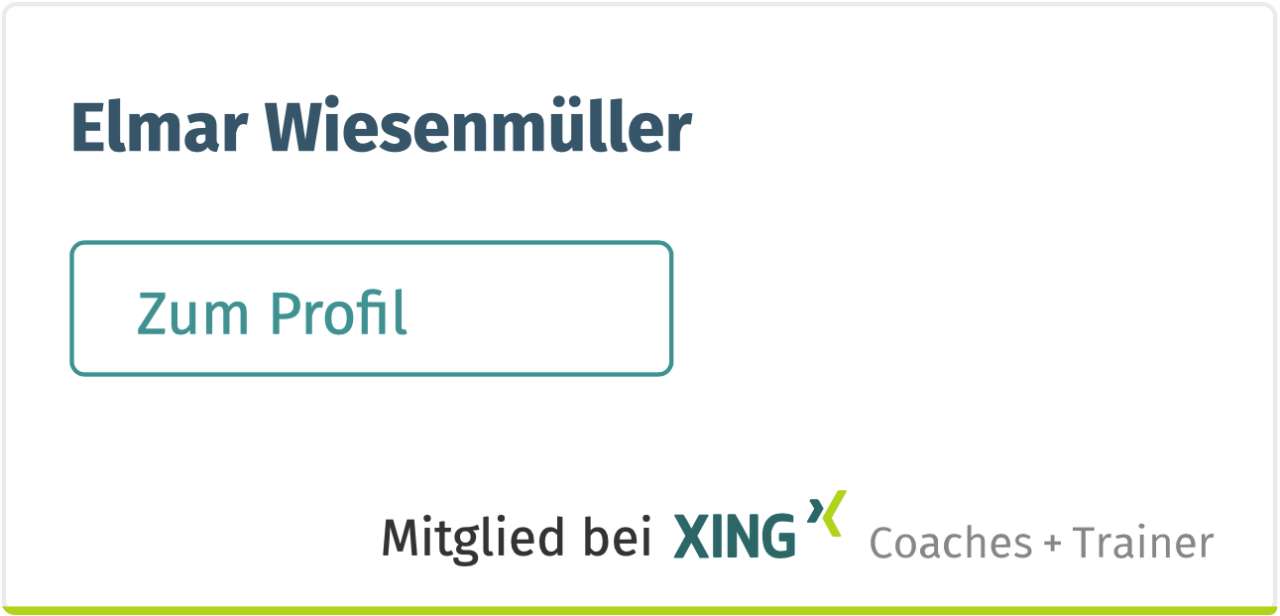 SEO Coach & Trainer Elmar Wiesenmueller | © XING SEO Coach Trainer Elmar Wiesenmueller